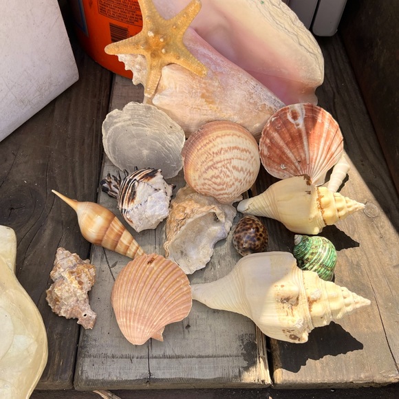 Meet your Posher, Janice - Picture 16 of 16